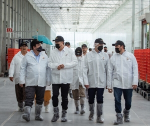 Roberto Cabrera y Mauricio Kuri inauguran invernadero Finka en San Juan del Río