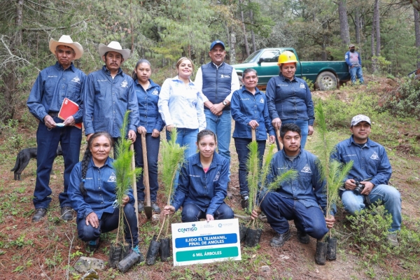 Lupita Ramírez Encabeza arranque regional de reforestación y sanidad forestal