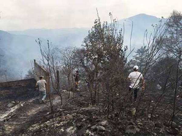 Sin control incendio en Pinal