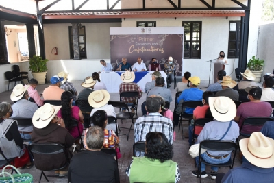 Cafeticultores de Landa recibirán 32 mil plantas de café