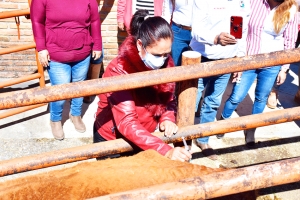 Arranca Campaña de Sanidad Animal en Arroyo Seco