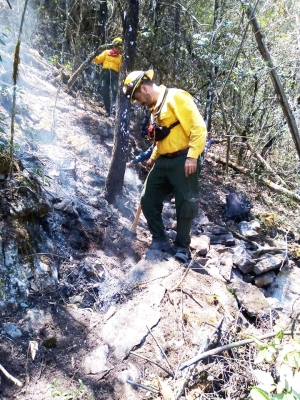 Cumple una semana incendio en Lagunita de San Diego