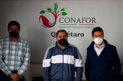 Astudillo y alcalde electo de San Joaquín inician acercamientos con  CONAFOR a favor de acciones verdes