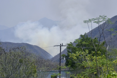 Combaten 80 brigadistas incendio en Landa