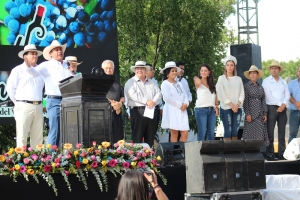 Un éxito la segunda fiesta de la Vendimia en Colón