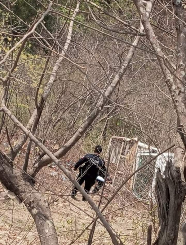 Desbarranca camioneta refresquera en Pinal de Amoles