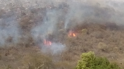 Controlan incendio en Arroyo Seco