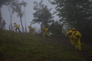 Controlado al 90 por ciento el incendio de Puerto Hondo