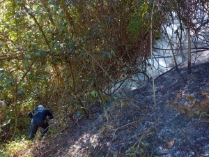 Bomberos Voluntarios de La Lagunita Sofocan incendio de matorral