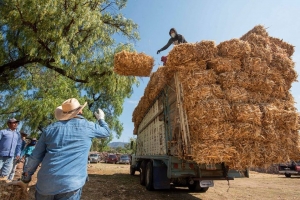 Inicia El Marqués entrega de apoyos a sector agropecuario