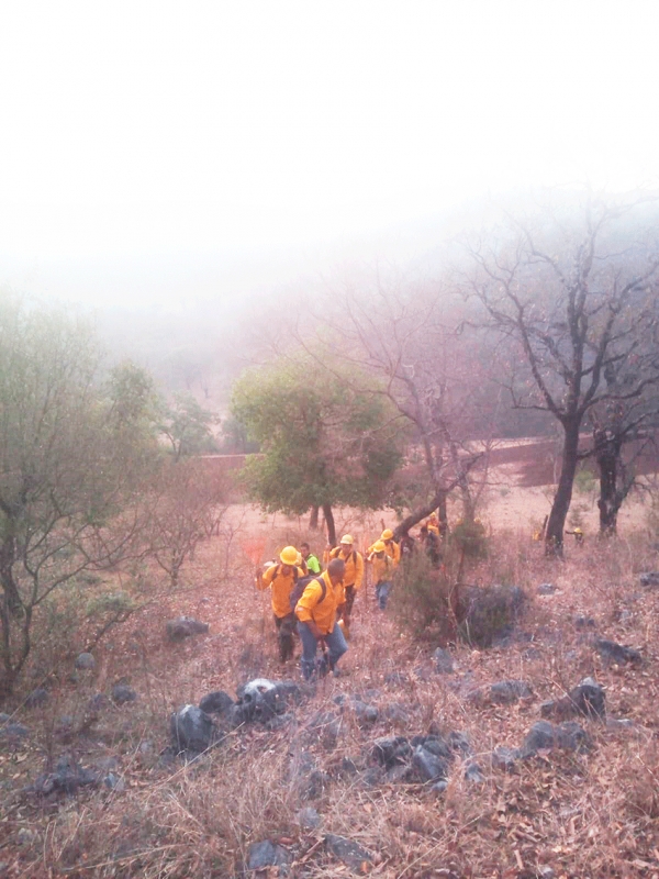 Incendio de Santa Águeda fue provocado