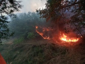 Reportan controlado el incendio en Loma Larga