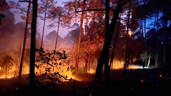 Incendio de Guanajuato llega a límites de Querétaro