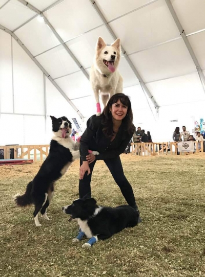 Regresa el Evento Canino Navideño en la Feria de Querétaro