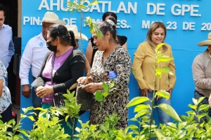 Entrega Lupita Ramírez 2700 Plantas Cítricas Frutales.