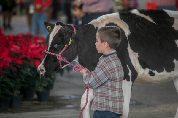Impulsa Holstein de México a las nuevas generaciones