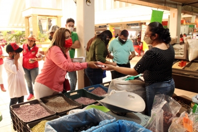 Ampliar y garantizar servicios de salud será prioridad en el presupuesto federal: Rosy Pacheco