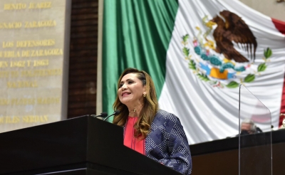 Sonia Rocha, primera panista en subir a la tribuna de la LXV Legislatura