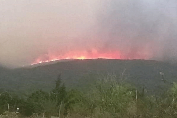 Alarmante incendio en Tancoyol