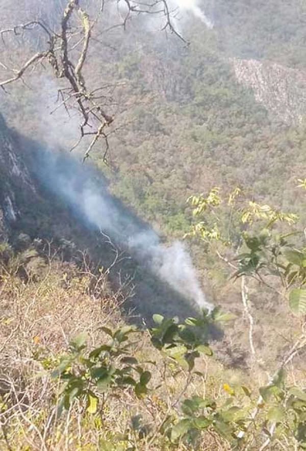 Incendio amenaza con llegar al hábitat de la Guacamaya Verde