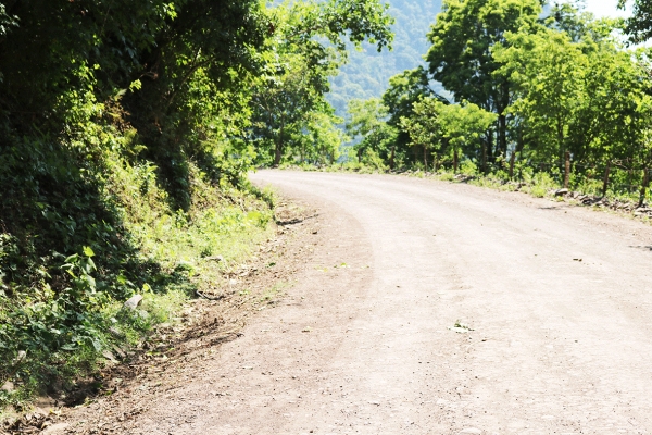 Revisten Camino a Neblinas