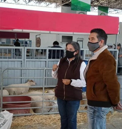 Invitan a las familias a exposiciones de borregos y conejos en el Ecocentro