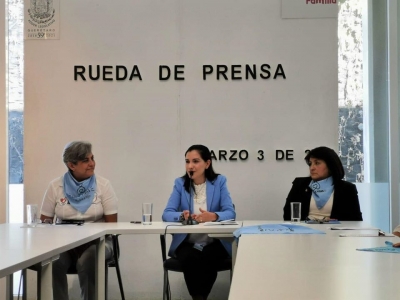 Presenta Elsa Méndez contrapropuesta legislativa a favor de la vida.