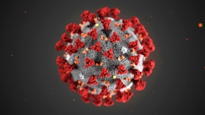 #Covid-19 | 13 casos de coronavirus en Querétaro: SESEQ