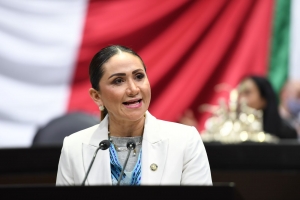 Sonia Rocha presenta iniciativa para proteger a infantes en situación de orfandad por el COVID-19