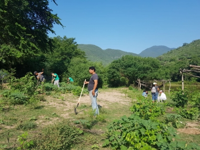 Reforestan brecha talada en Vegas Cuatas