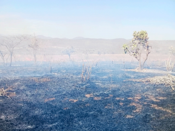 Policías, Bomberos y PC Controlan Incendio