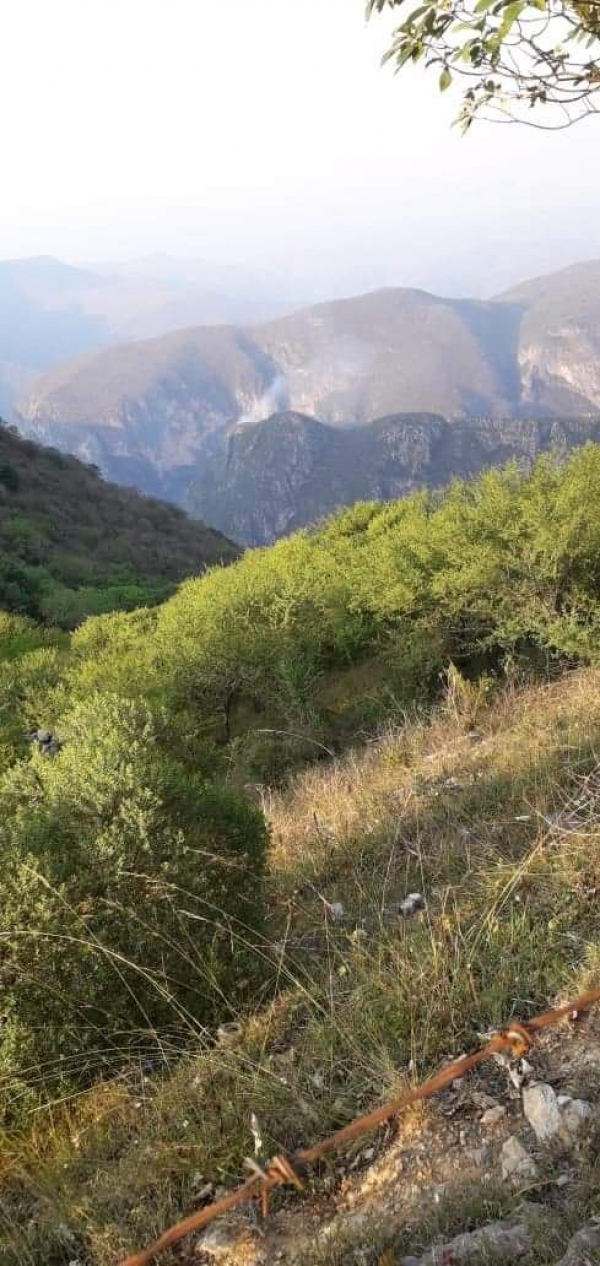 Landa ya atiende posible incendió forestal