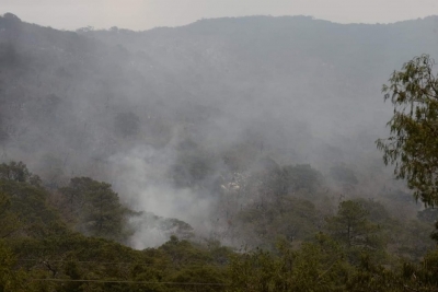 Controlado en un 75 por ciento el incendio en la Reserva de la Biósfera