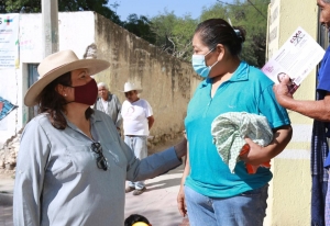 Con propuestas ciudadanas vamos a ganar el distrito XIV: Elvia Montes.