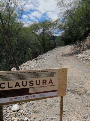 Clausura PROFEPA la apertura de un Camino en Purísima de Arista