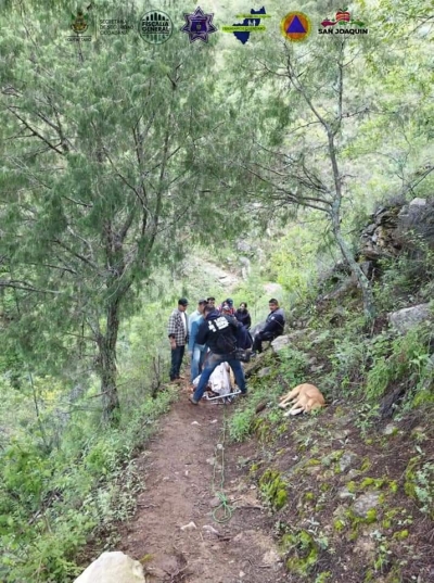 Mueren dos turistas en accidente en San Joaquín