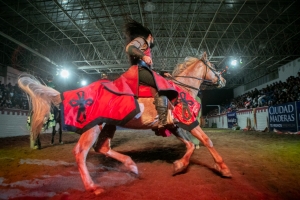 Enorme éxito del Show Medieval en la FIGQ 2022