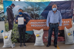 Entrega El Marqués semillas de frijol a 251 productores agrícolas