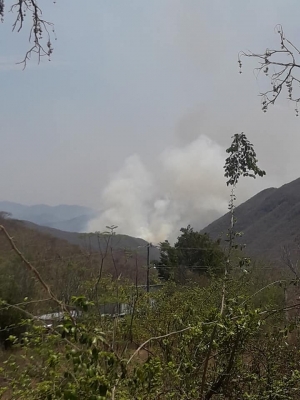 #CódigoRojo | Otro incendio forestal