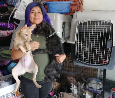 Mientras no existan leyes claras, el tema de abandono y maltrato animal seguirá creciendo en Querétaro: Adopciones MO