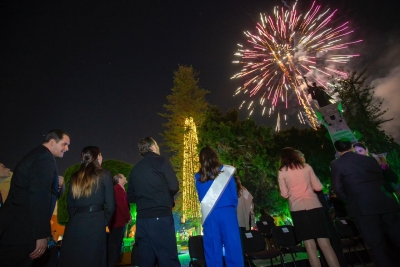 Enciende Gobernador Árbol de la Amistad y Nacimiento Monumental