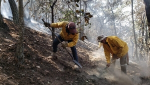 Controlado incendio de Huimilpan