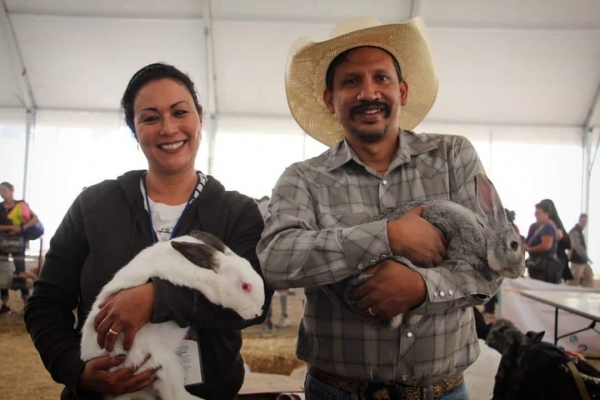 Exposición de razas y concurso de canales nuevas actividades de los Cunicultores, en la FIGQ