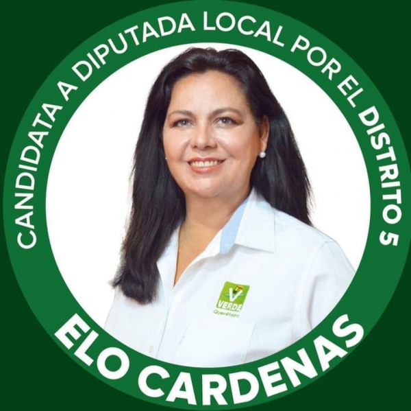 Fallece candidata del PVEM a diputada local por el Distrito 5