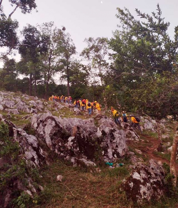 Brigadistas combaten incendio en La Yesca