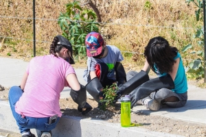 Realizan jornada de reforestación en San Juan del Río