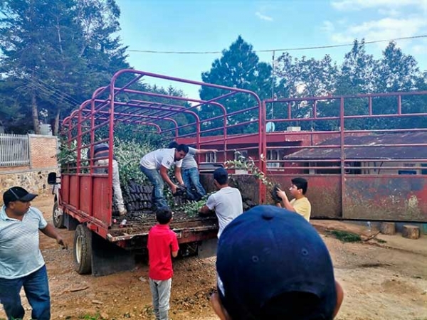 Reforestando la Sierra Gorda