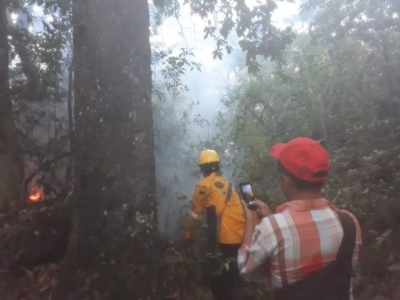 #MedioAmbiente | Controlado incendio en Valle Verde.